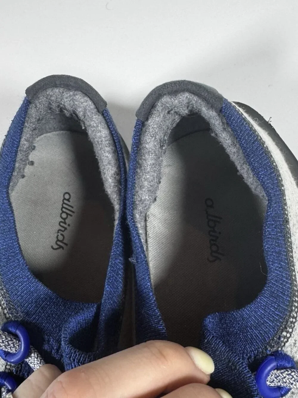 allbirds wool dasher